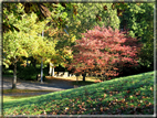 foto Parco Wilhelmshöhe in Autunno